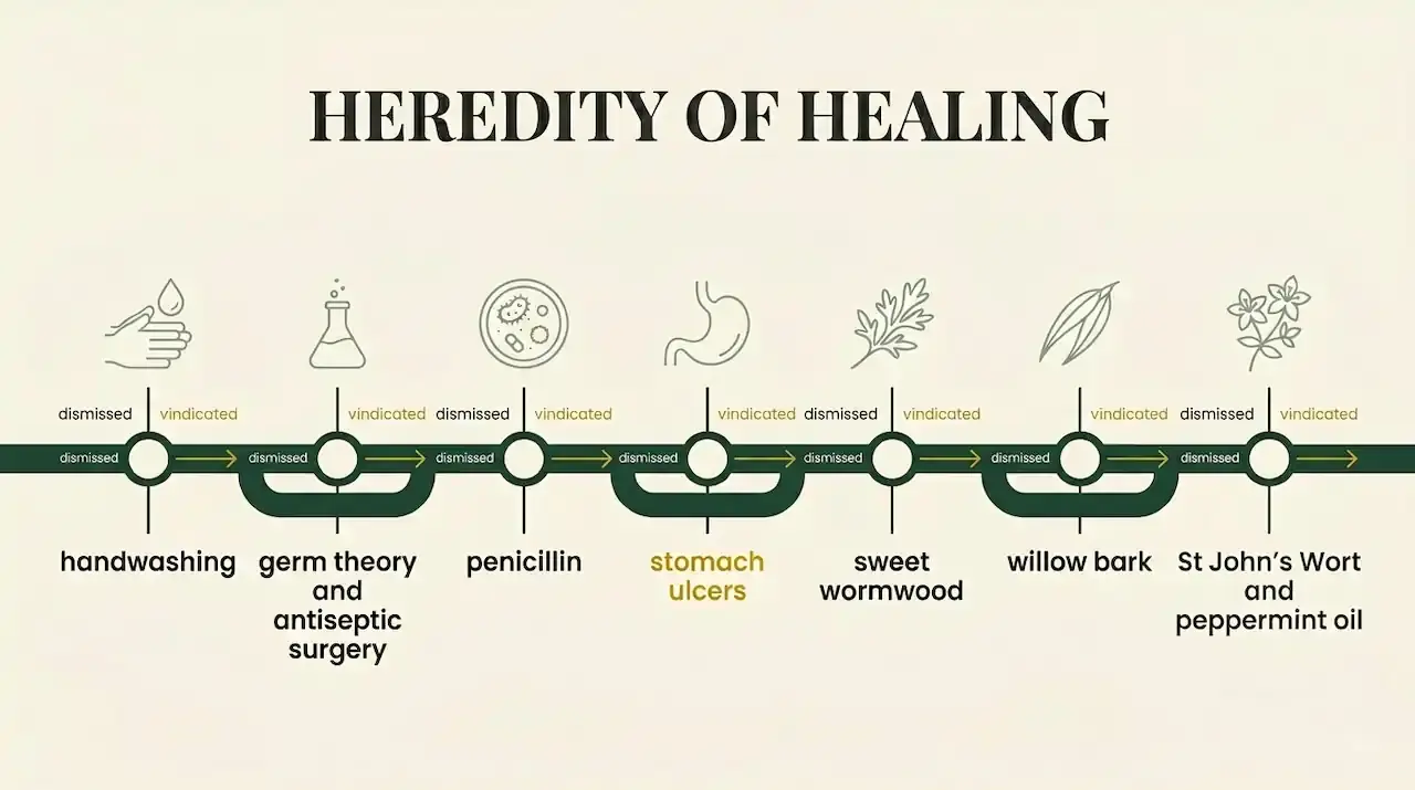 A timeline of seven medical breakthroughs that were dismissed then vindicated, from handwashing to peppermint oil, each shifting from “dismissed” to “vindicated”.